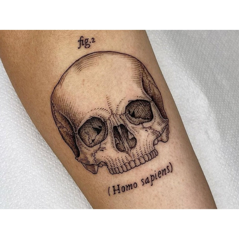 Deciphering Skull Tattoos and Their Deep Meanings